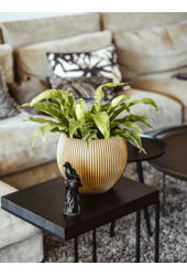 Szczelina Złota Kula