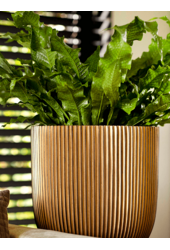 Doniczka Złota z Rowkiem