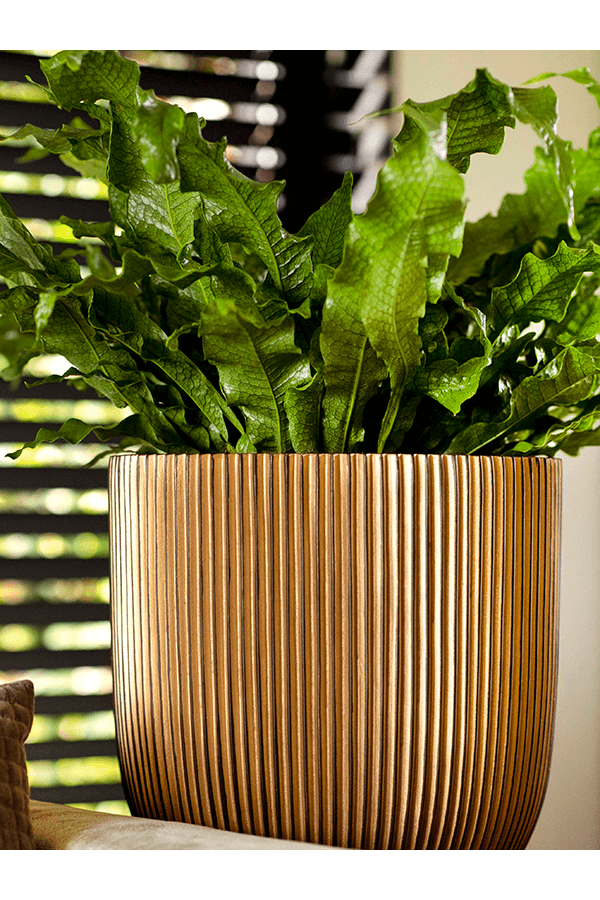 Szczelina Złoty Garnek