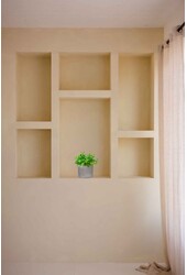 Roślinka Peperomia Rotundi w ceramicznej doniczce