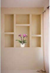 Phalaenopsis Optifriend Lotte Lazio biały