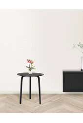 Phalaenopsis Optifriend Kyra Lazio white