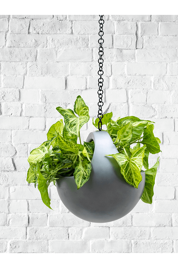 Baq Gradient Wiszący kosz matowy szary