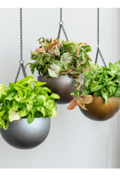 Baq Gradient Wisząca miska, matowa szarość