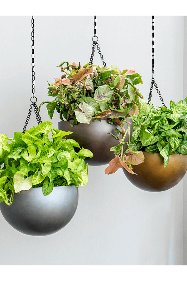 Baq Gradient Wisząca miska, matowa szarość