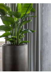 Baq Gradient Partner Matt Grey (z wkładką)