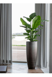 Baq Gradient Partner Matt Coffee (z wkładką)