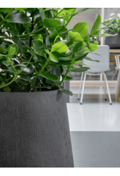 Baq Raindrop Darcy Anthracite