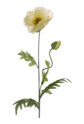 Sztuczna roślina Poppy