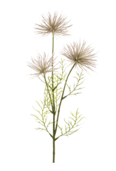 Sztuczna roślina Anemone Seed