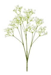 Sztuczna roślina Gypsophila