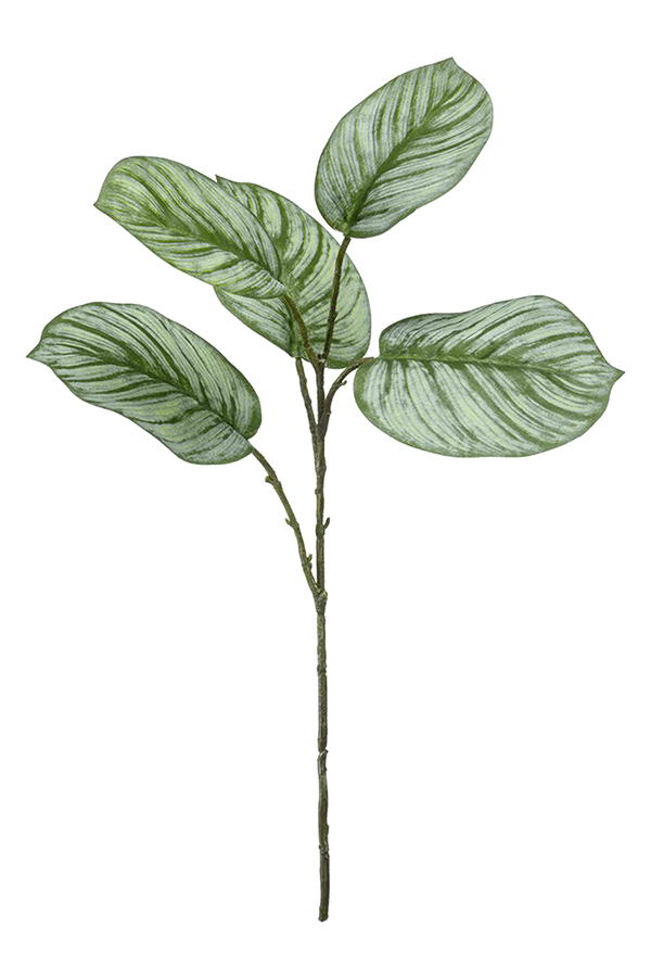 Sztuczna roślina Calathea