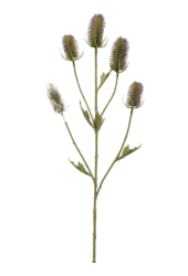 Sztuczna roślina Dipsacus