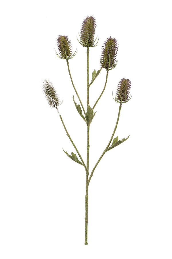 Sztuczna roślina Dipsacus