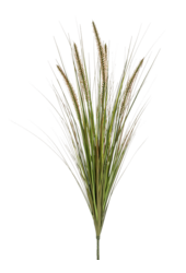 Sztuczna trawa Pennisetum