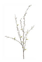 Sztuczna roślina Salix