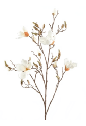 Sztuczna magnolia