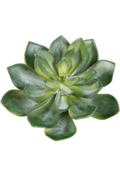 Sztuczna roślina Echeveria
