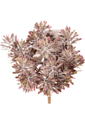 Sztuczna roślina Dusty Miller