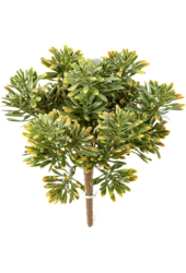 Sztuczna roślina Miller