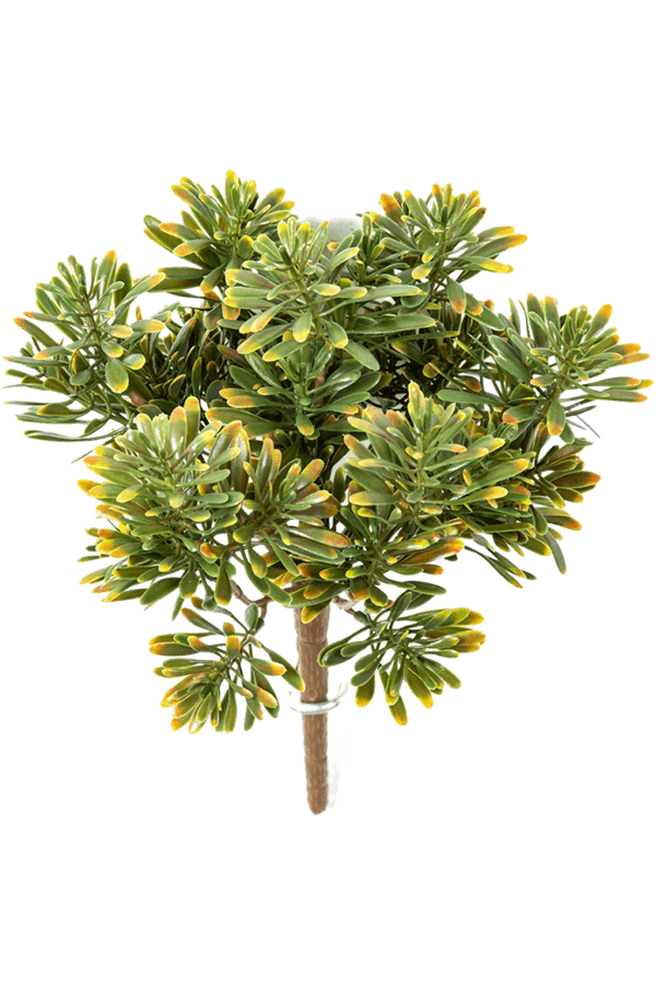 Sztuczna roślina Miller