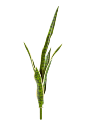 Sztuczna roślina Sansevieria