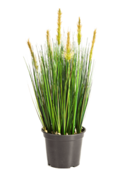 Sztuczna roślina Grass Foxtail