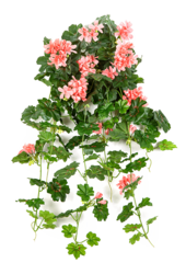 Sztuczna roślina pelargonii
