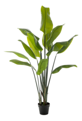 Sztuczna roślina Strelitzia Traveller