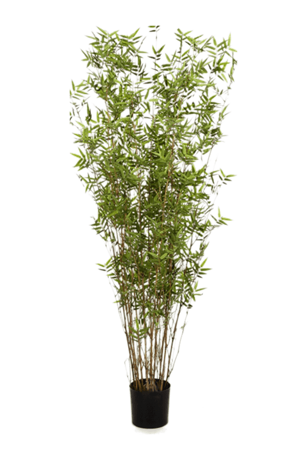 Sztuczna roślina Bamboo Oriental