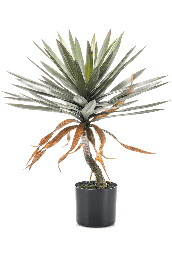 Sztuczna roślina Yucca