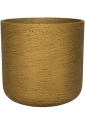 Rough Charlie XS Metallic Gold