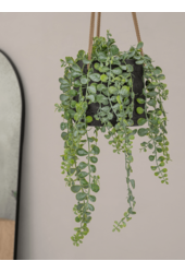 Rough Patt (wiszący) M Czarny Wyprany