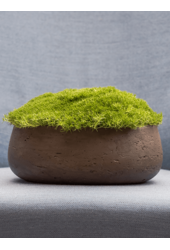 Rough Eileen L Czekolada