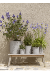 Szorstki Puk M Szary Spłukany