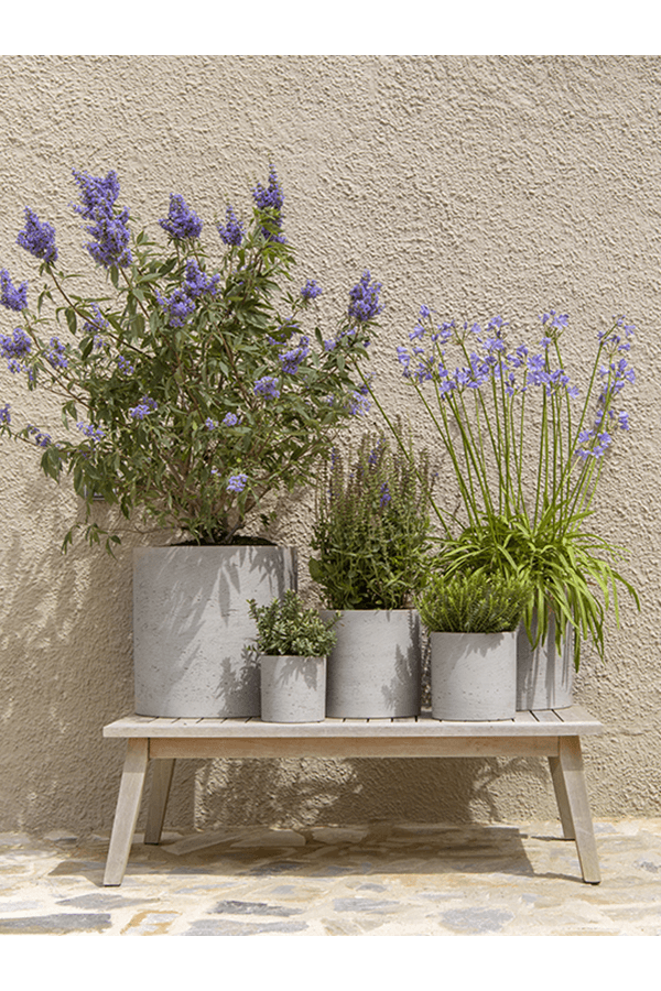 Szorstki Puk M Szary Spłukany