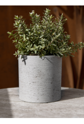 Szorstki Puk S Szary Wypłukany