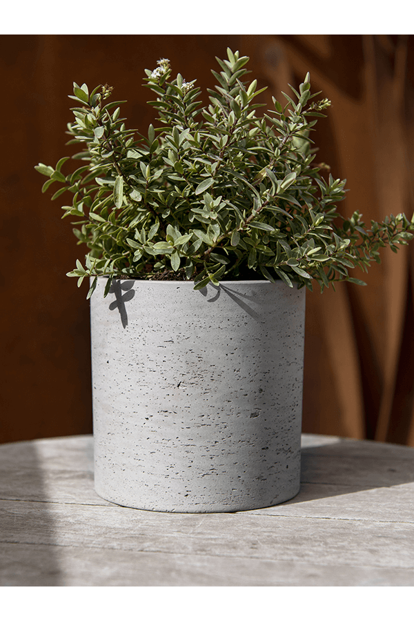 Rough Puk S Grey Washed