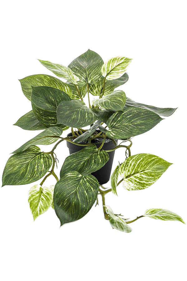 Sztuczna roślina Scindapus