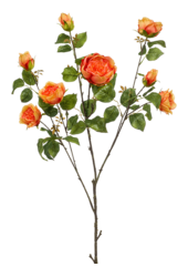 Sztuczna roślina Rose London