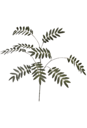 Sztuczna roślina Elderberry