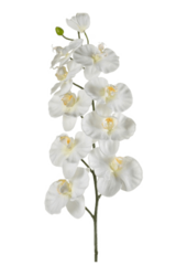 Sztuczna roślina Phalaenopsis