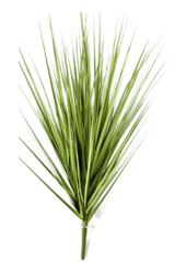 Sztuczna trawa Carex