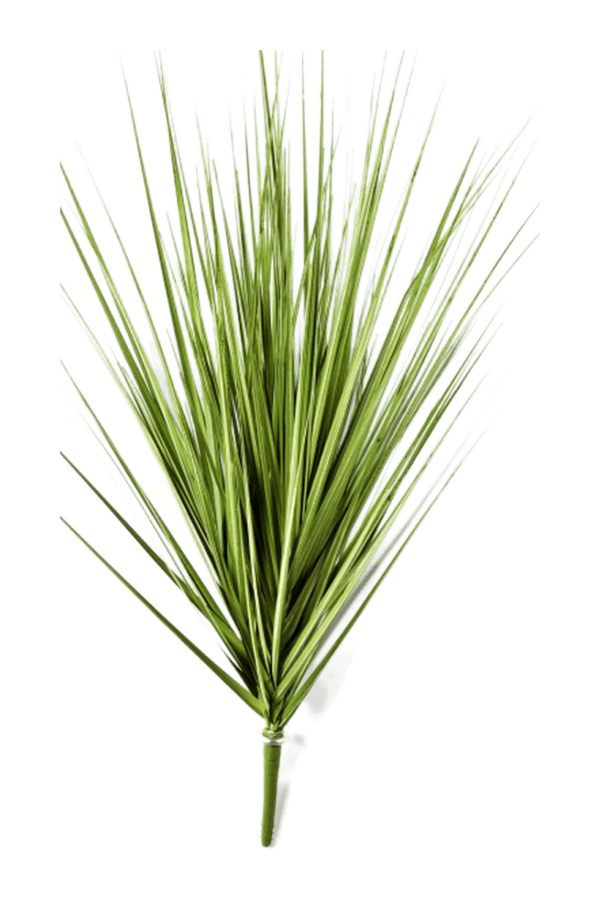 Sztuczna trawa Carex