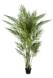 Sztuczna roślina Areca