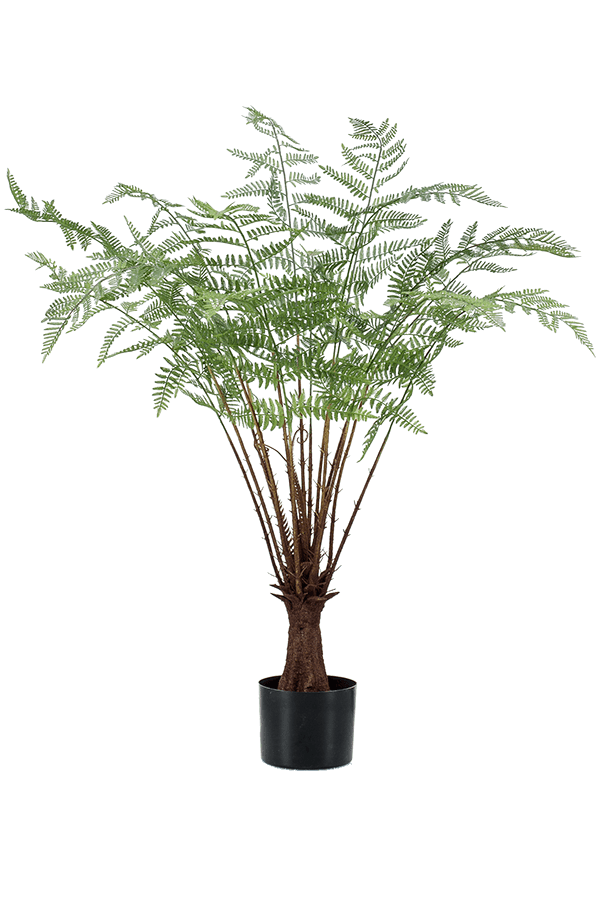 Sztuczna roślina paproć