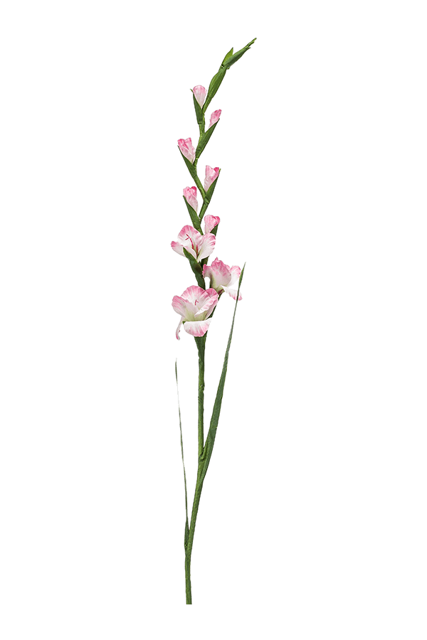 Sztuczna roślina gladiolus