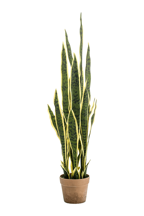 Sztuczna roślina Sansevieria