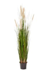 Sztuczna roślina Grass Reed