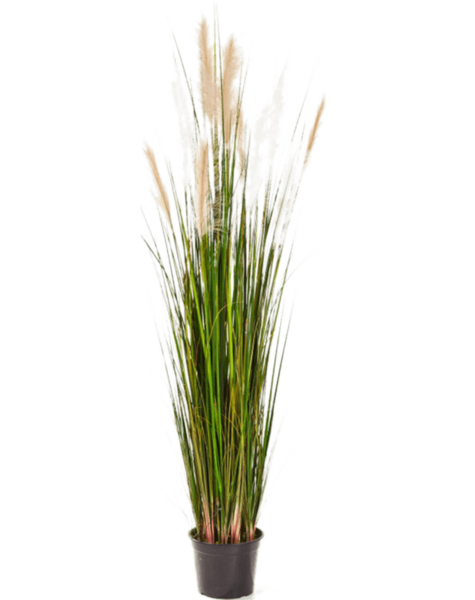 Sztuczna roślina
